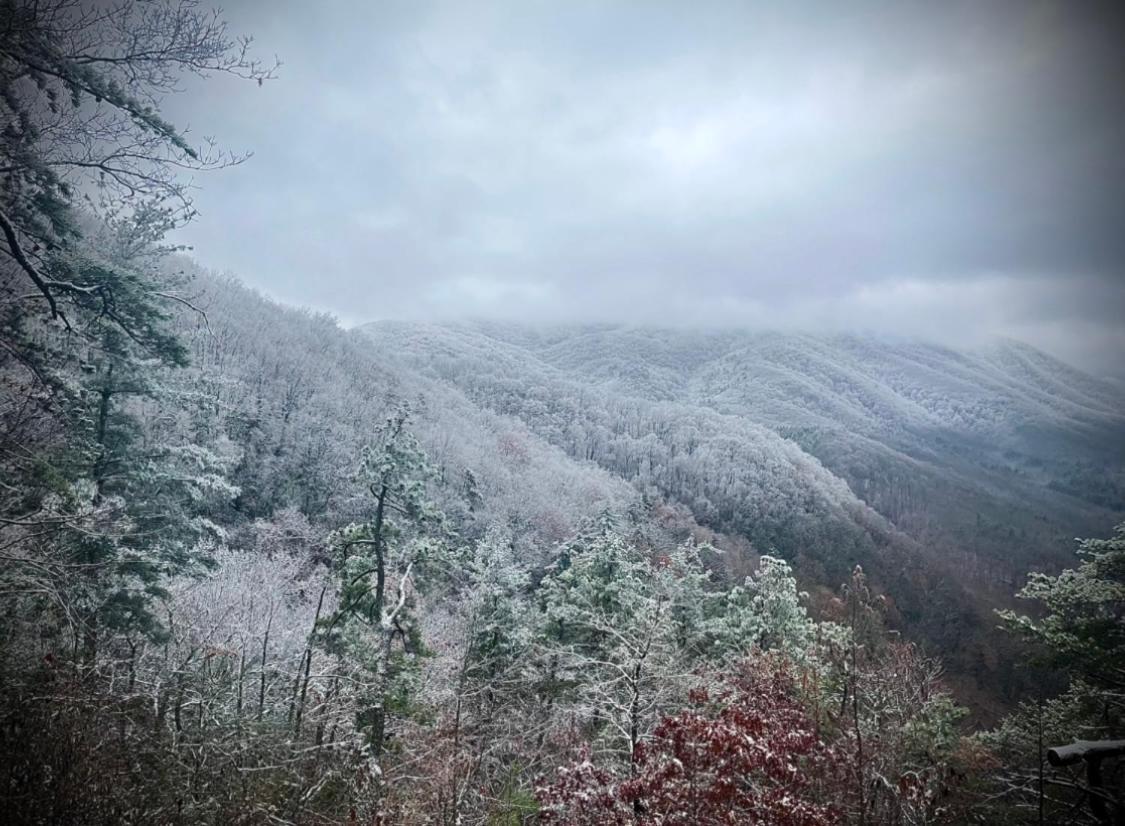Homestead Retreat 뉴포트 외부 사진
