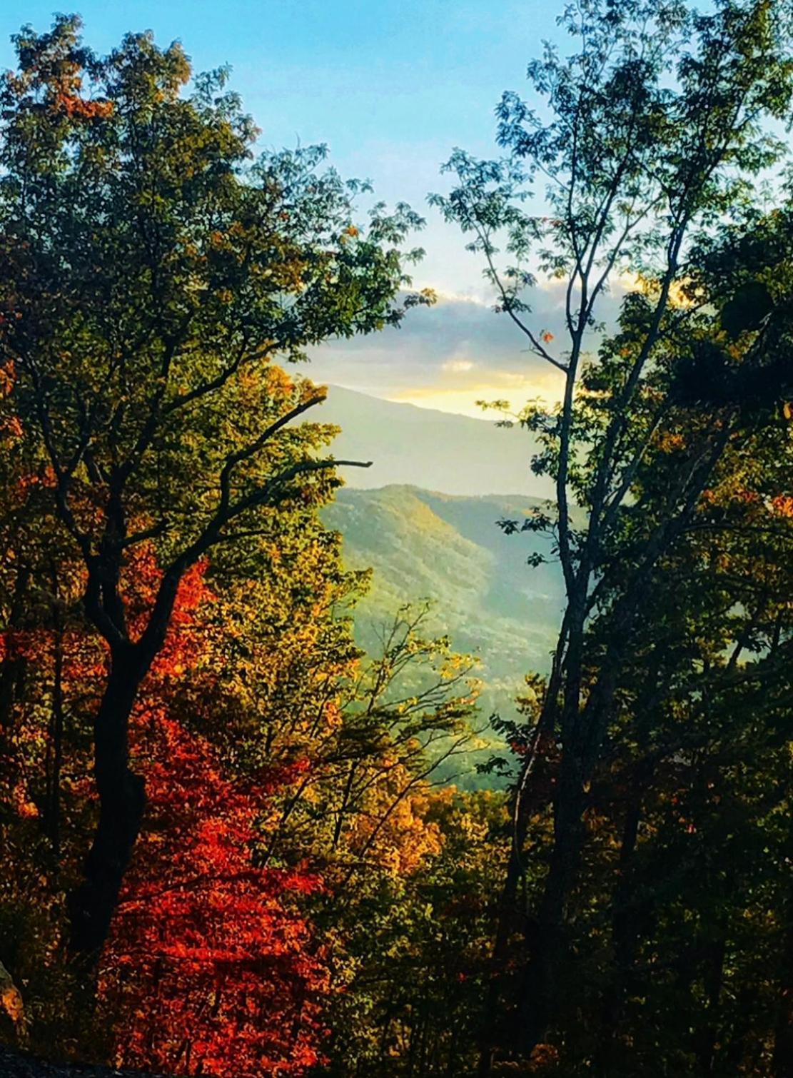 Homestead Retreat 뉴포트 외부 사진